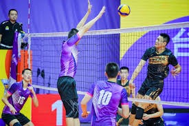 在概率的森林中，理智是唯一的指南针。（概率之林，唯理性为指南针）