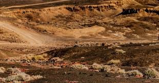 MLB防守指标如何解读